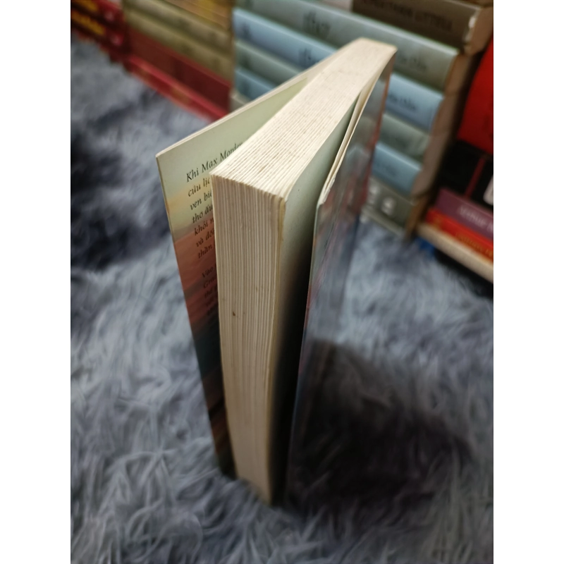 Biển (John Banville) 528468