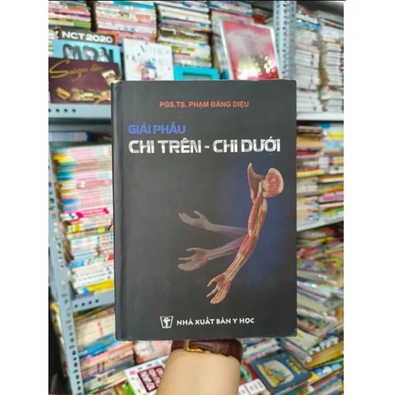 Giải phẫu chi trên chi dưới 🌱 590492