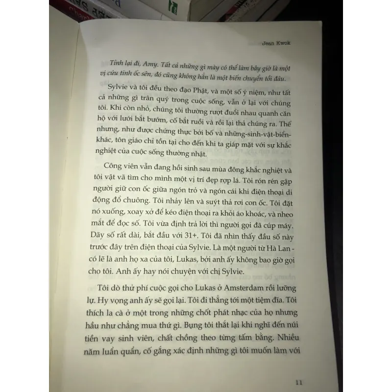 Đi tìm Sylvie Lee - Jean Kwok 1022502