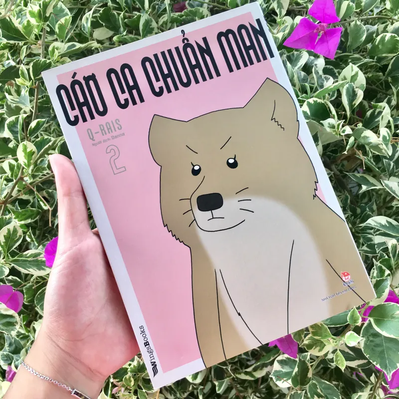 Cáo ca chuẩn man 2 Q-Rais 596237