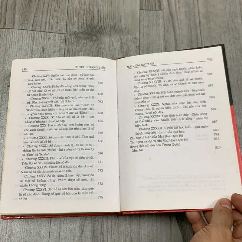 Mai hoa dịch số. 2a3 689771