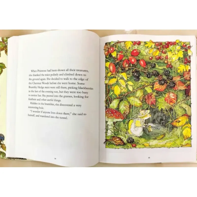 Sách tiếng anh - THE BRAMBLY HEDGE LIBRARY BỘ 1 Cuốn bìa cứng khổ A4 bản gộp 8 truyện 936371