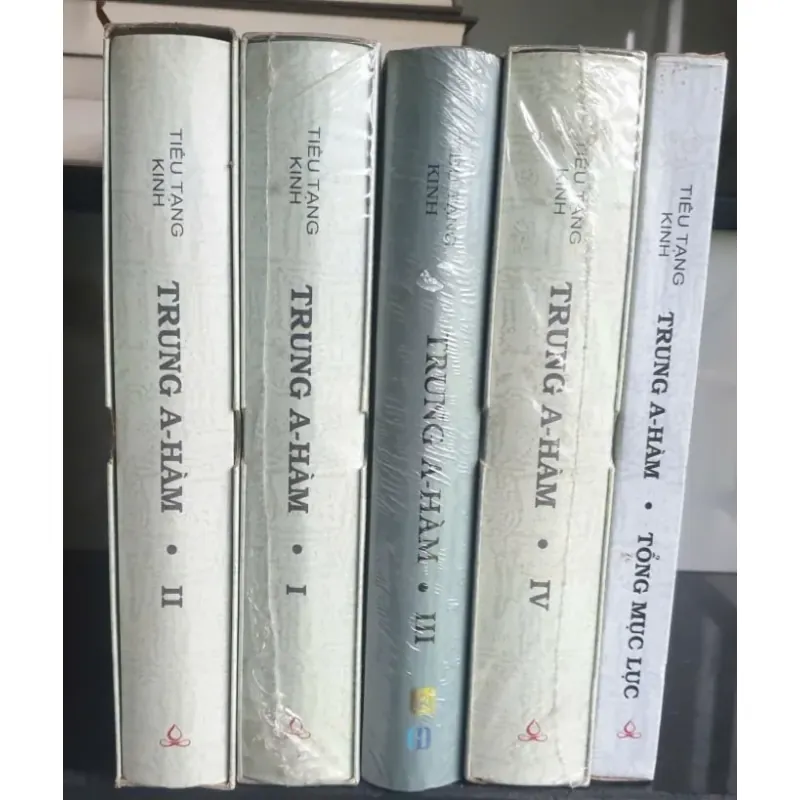 Trọn Bộ Tiểu Tạng Kinh Trung A- Hàm - Tuệ Sỹ 704363