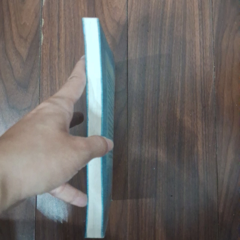 Nhật kí á thần 505606
