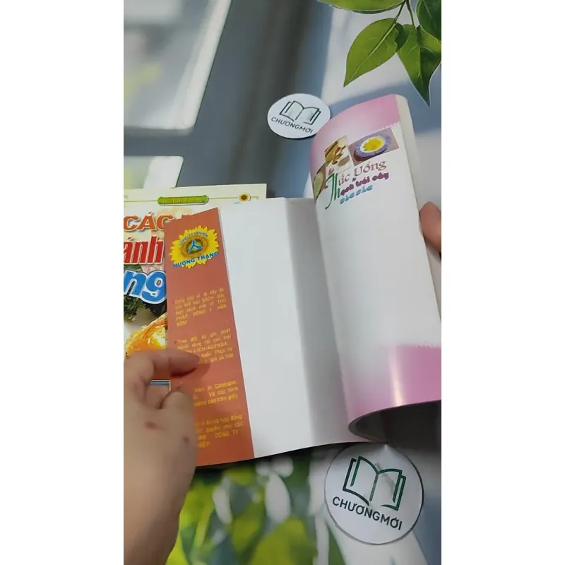 Combo Ẩm Thực: Cách Pha Chế Cocktail, Các Món Cá & Mực, Món Ăn Cho Người Bệnh Tim, Các Mó 727323