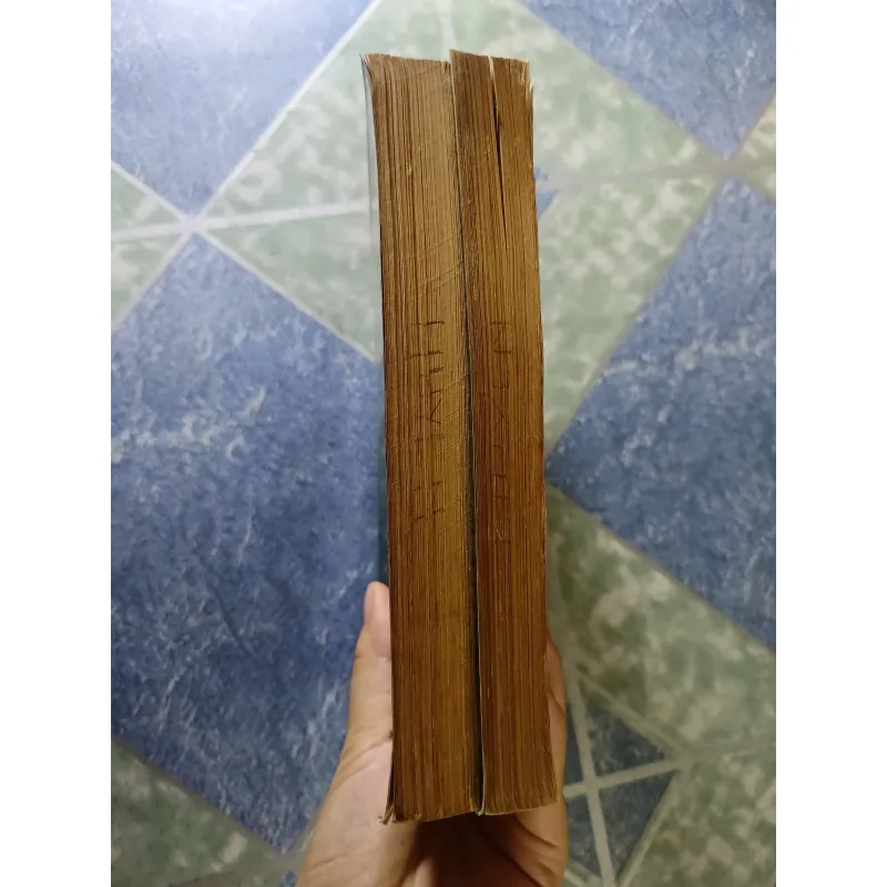 Nhà thờ đức bà Pari ( 2 tập) - Vichto Huygo 927783