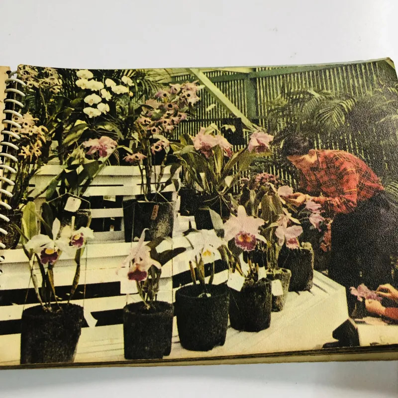 Tập lịch xưa năm 1966 nhiều hình ảnh đẹp  796460