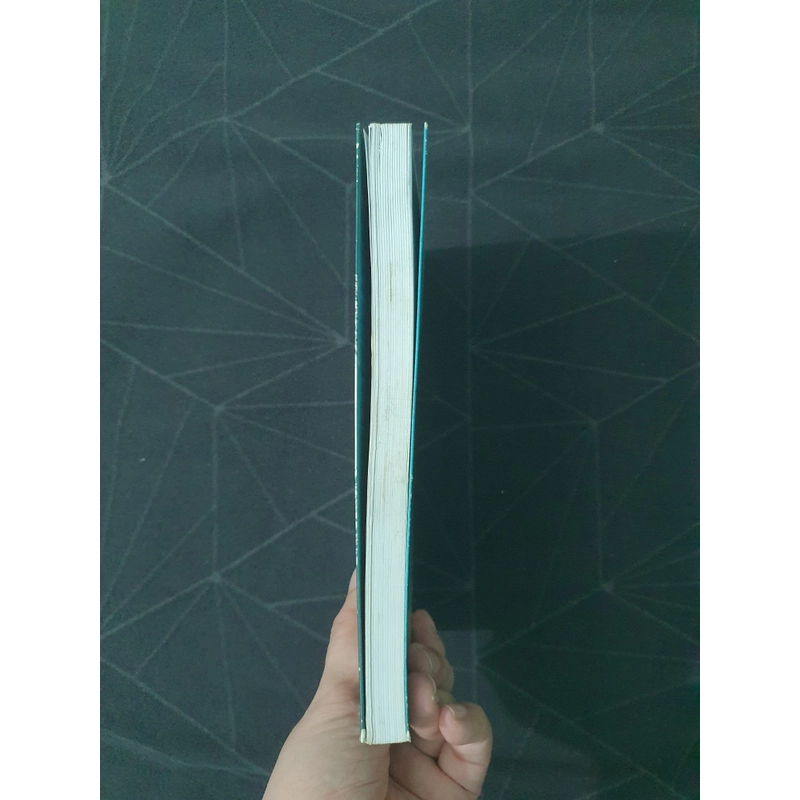 "Người lạ trong nhà" - Leila Slimani 472180