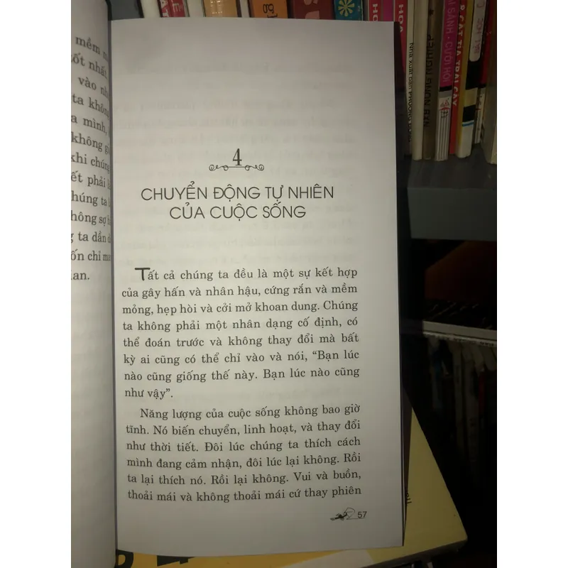 Cú nhảy - Thoát khỏi thói quen và nỗi sợ hãi - Pema Chodron  695623