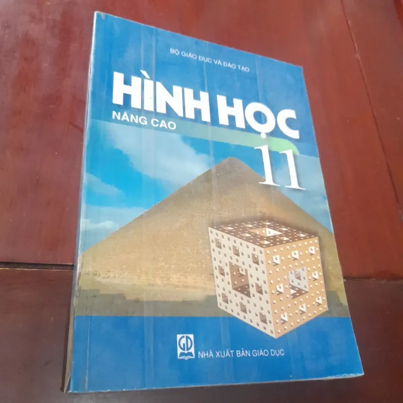 HÌNH HỌC 11 nâng cao 1029962