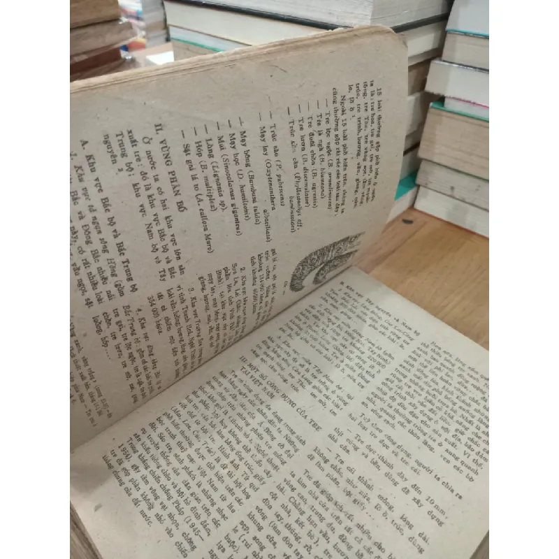 Ngao sò - Nhiều tác giả 694379