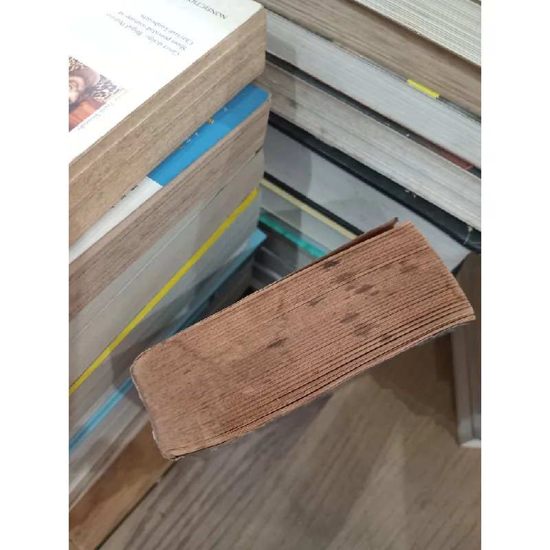 Dust to dust - Tami Hoag 704076