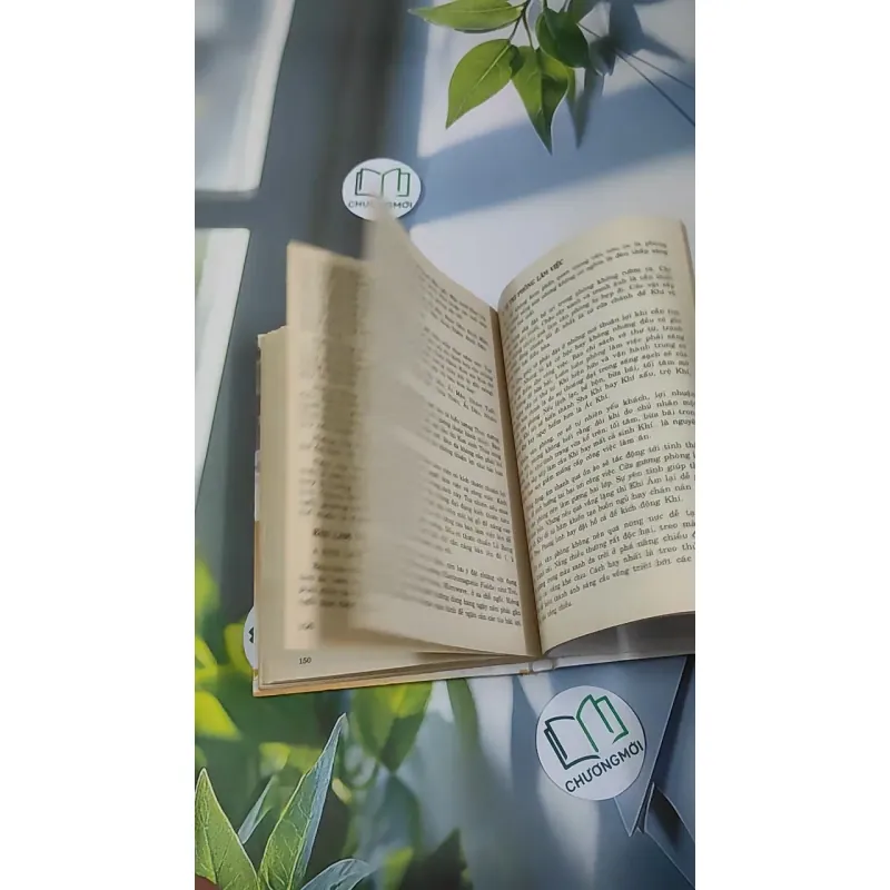 Phong Thủy Trong Hôn Nhân - Thanh Long 990527