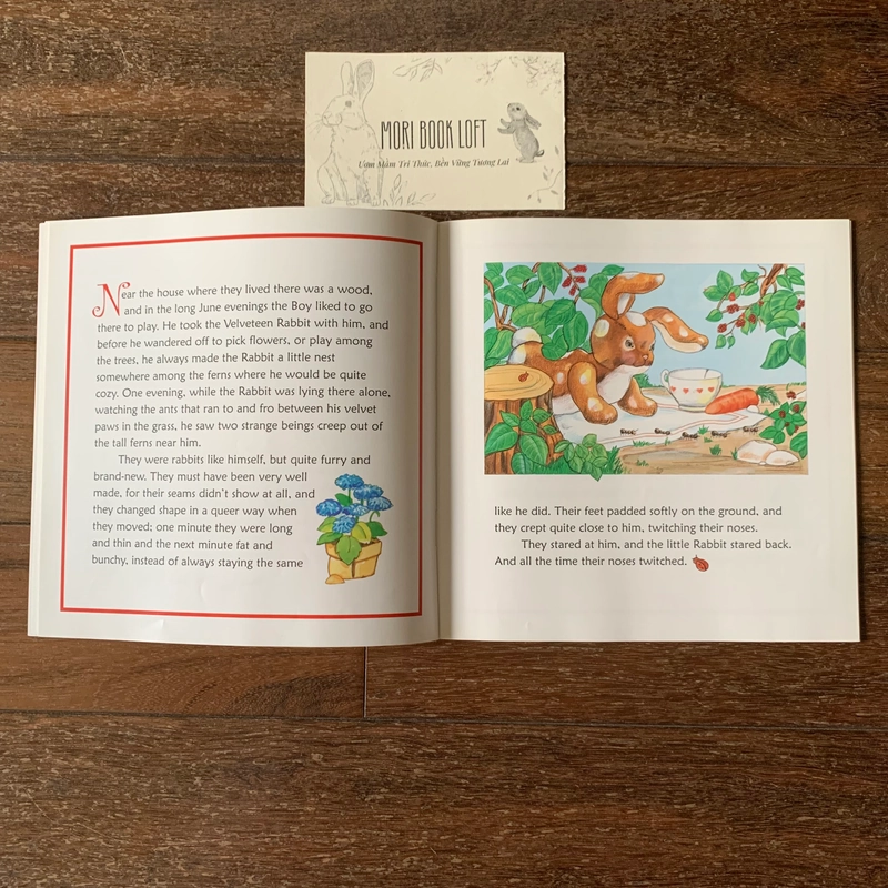 Sách tranh tiếng anh The Velveteen Rabbit, Used, tình trạng mới 478677