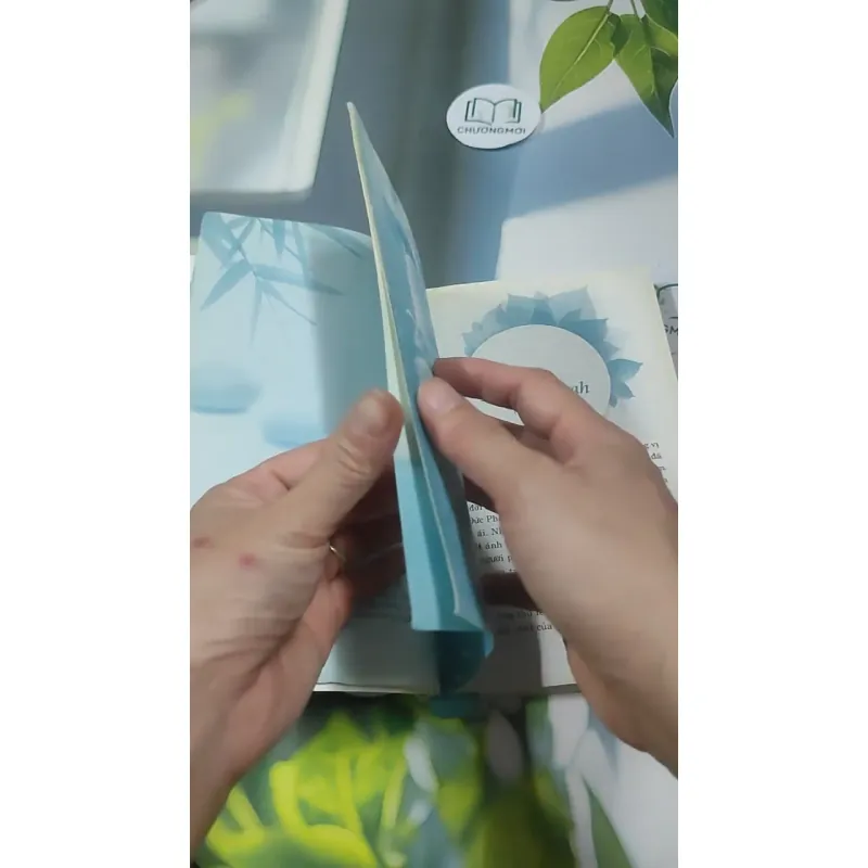 Tâm Tĩnh Lặng - Achaan Chah 727369