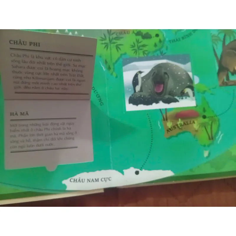 Atlas Đa Tương Tác Về Động Vật Hoang Dã 1009877