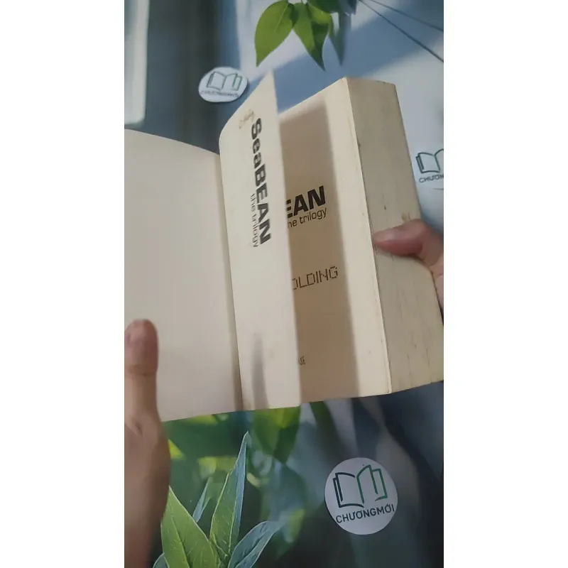 [MIỄN PHÍ BỌC SÁCH] SeaBean: The Trilogy - Sarah Holding 1033660