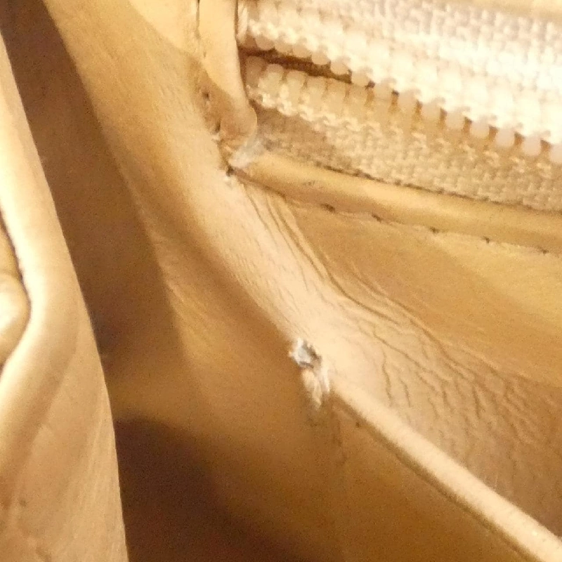 Chanel 12397 Túi - Hàng hiệu Chính hãng 805668