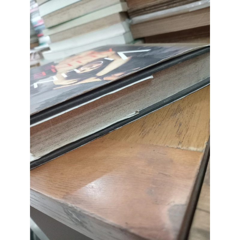 Violin - Anne Rice 1019387