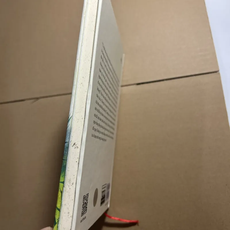 Hướng đi của đạo bụt cho hoà bình và sinh môi 570502