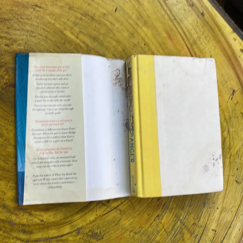 GOODBYE STRANGER- REBECCA STEAD 711944