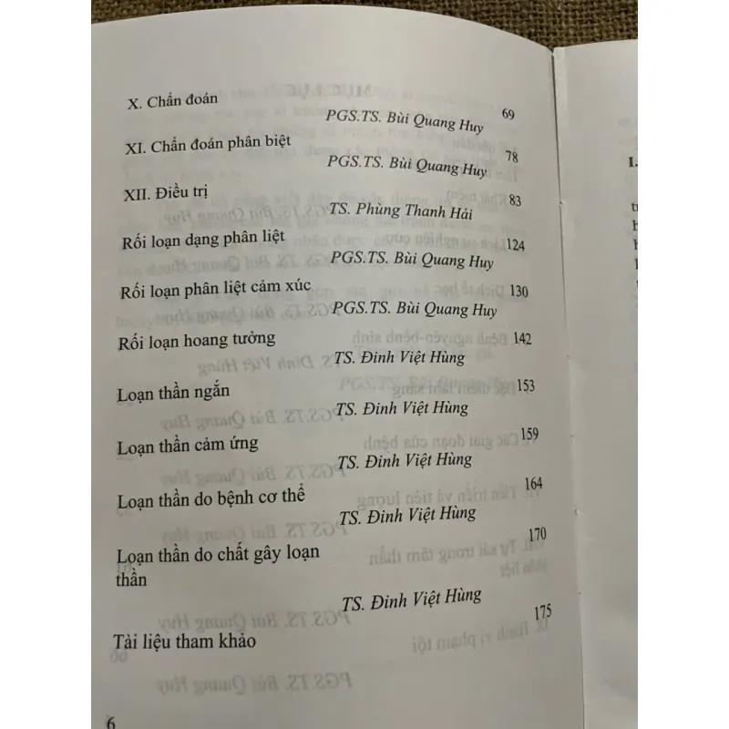 TÂM THẦN PHÂN LIỆT - SÁCH KHỔ LỚN - Chủ biên: PGS.TS. BÙI QUANG HUY 571800