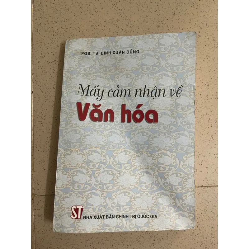 Mấy cảm nhận về văn hóa – Đinh Xuân Dũng 1000957