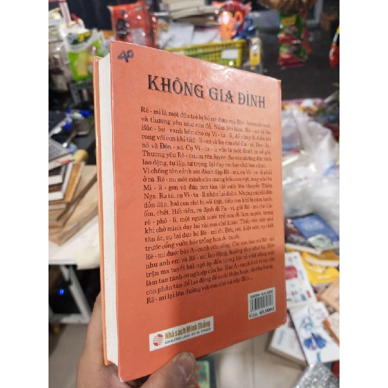 Không Gia Đình - Hector Malot 2005 mới 80% ố Văn học nước ngoài HCM1004 1007613