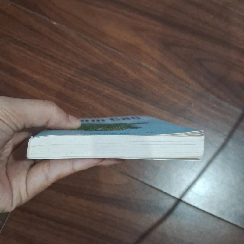 Truyện ngắn nam cao 510184