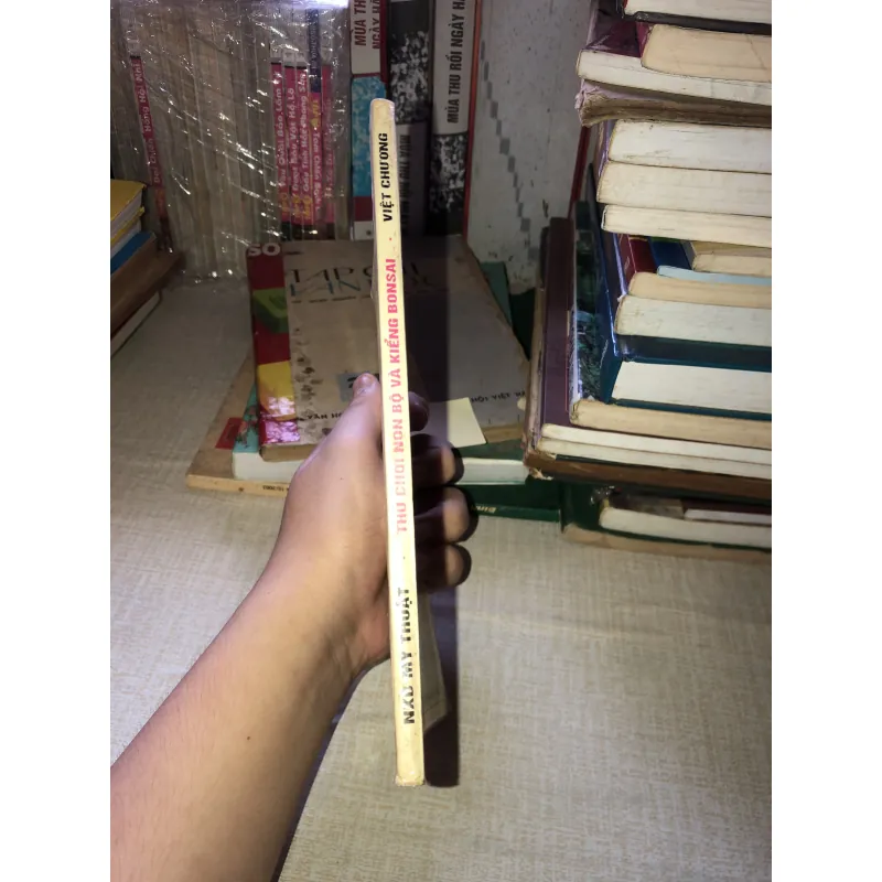 Thú chơi non bộ và kiểng bonsai 970620