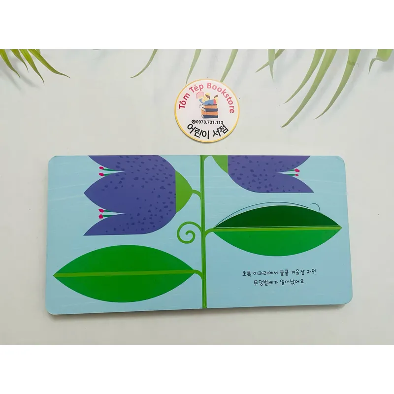 Set boardbook tiếng Hàn B36 1067376