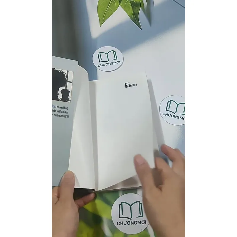 Giường - Phan An 694986