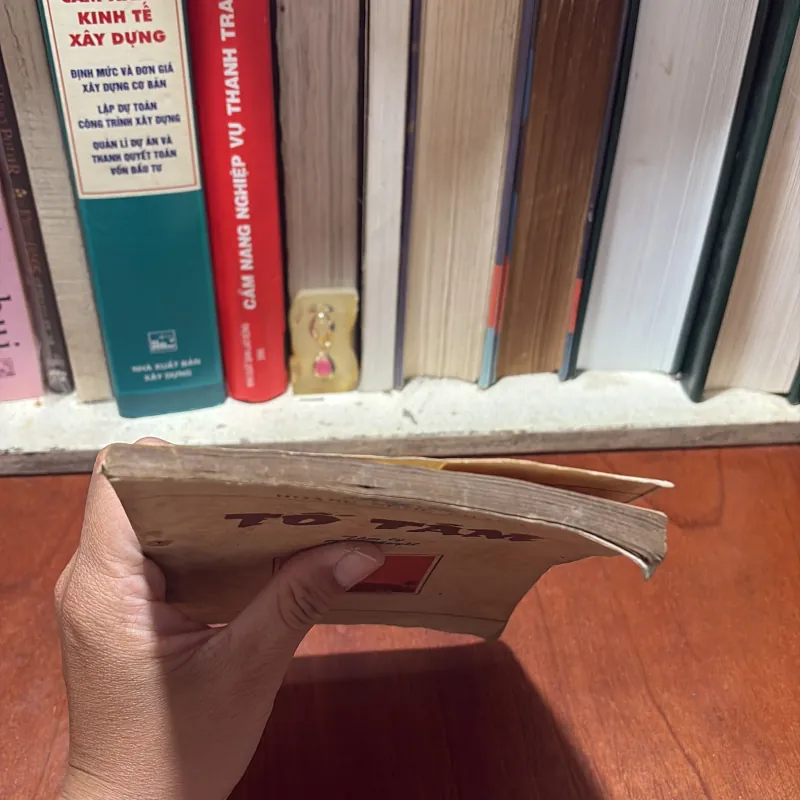 II Tâm Lý Tiểu Thuyết: Tố Tâm - Hoàng Ngọc Phách - 1988 789349