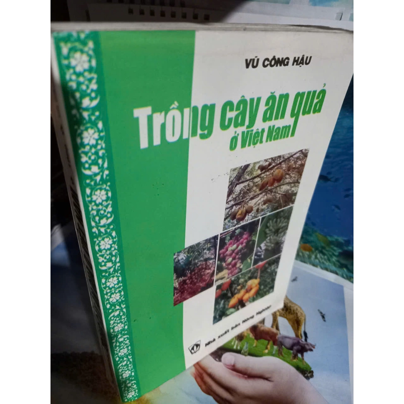 trồng cây ăn quả ở việt nam 476045