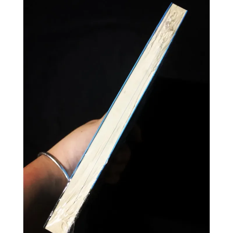 Mindful Running Chạy Trong Chánh Niệm - Mackenzie L. Havey 759121