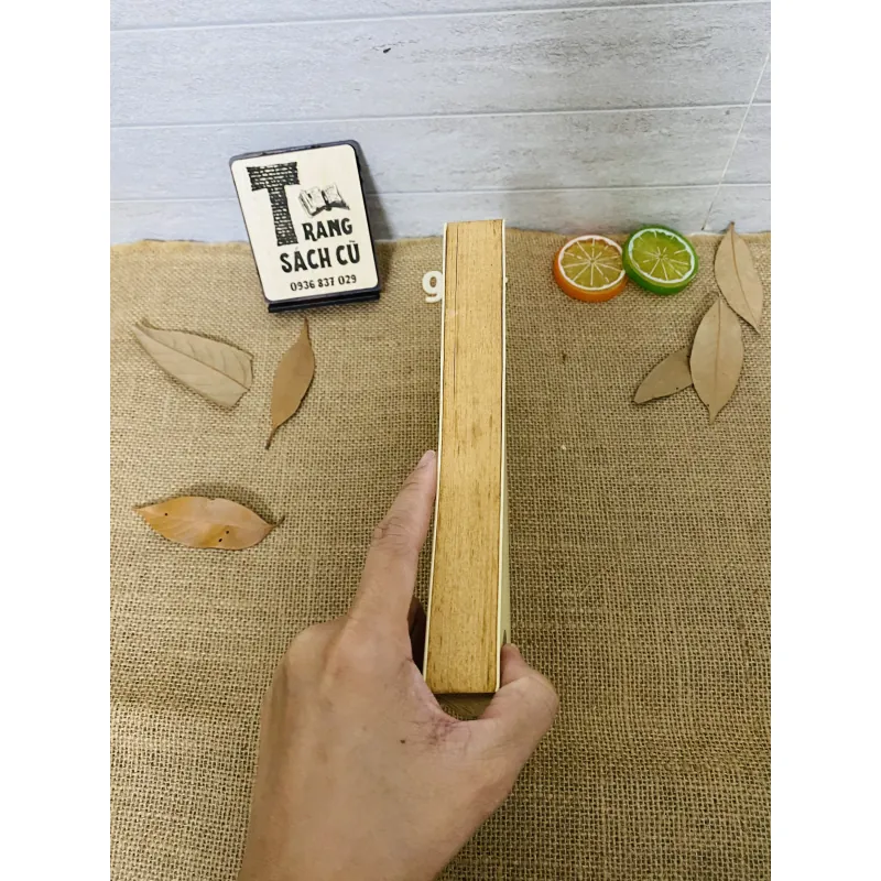 Chân trời góc bể 1012899