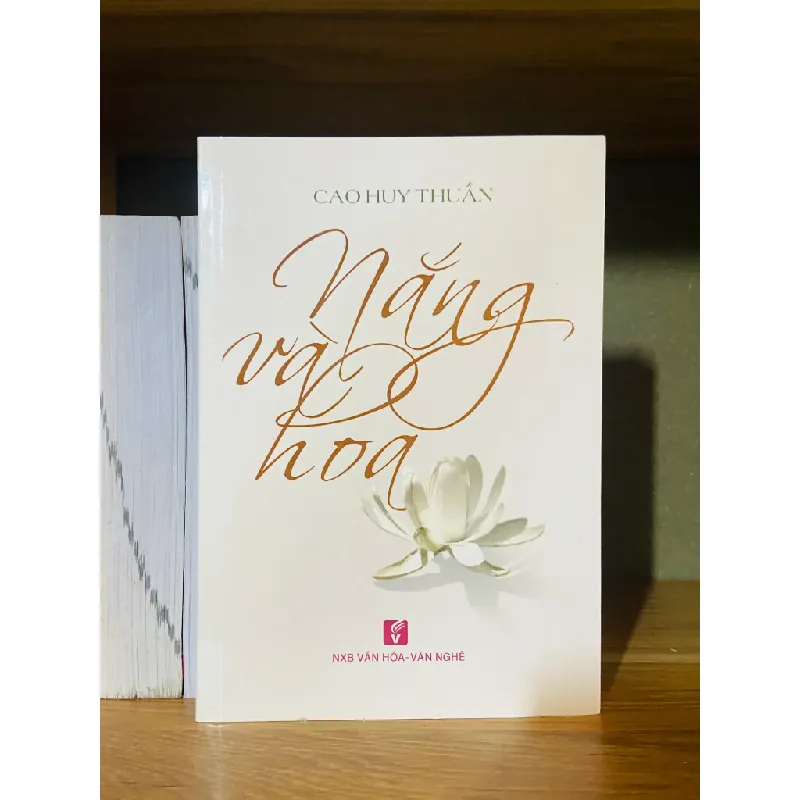 Nắng và hoa 555461