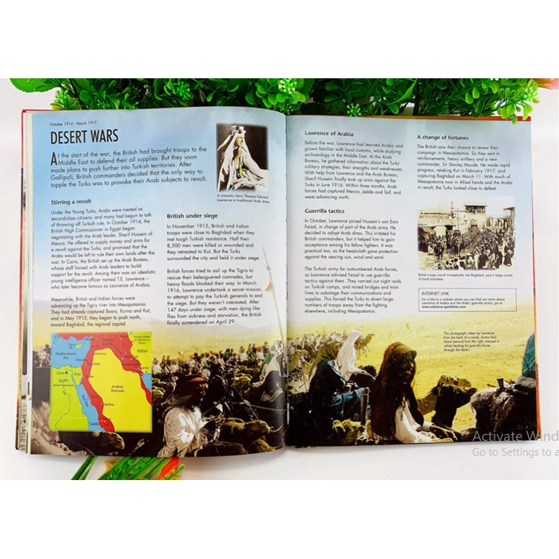 The Usborne introduction to the First world war & Second world war (combo 2 cuốn) 475745
