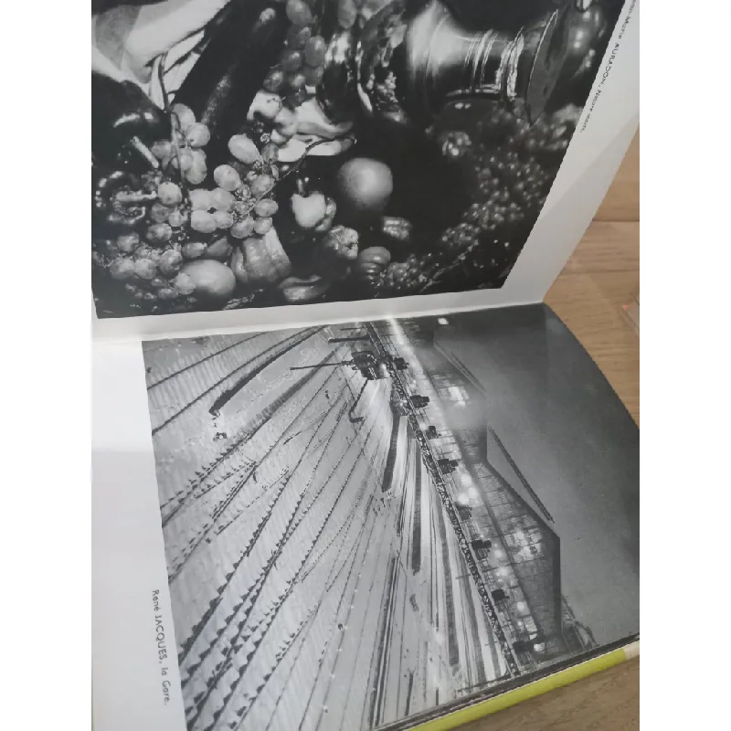 La photographie - Jean Roubier 590642