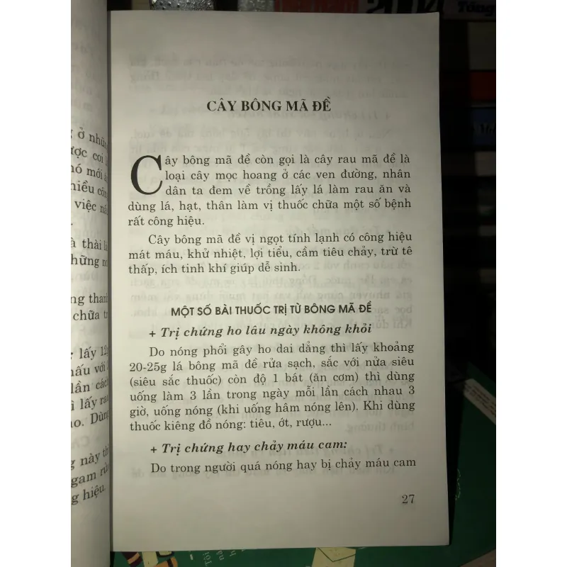 Thuốc quý vườn nhà bạn - Chữa bệnh bằng cây thuốc nam - Mai Hoa 936884