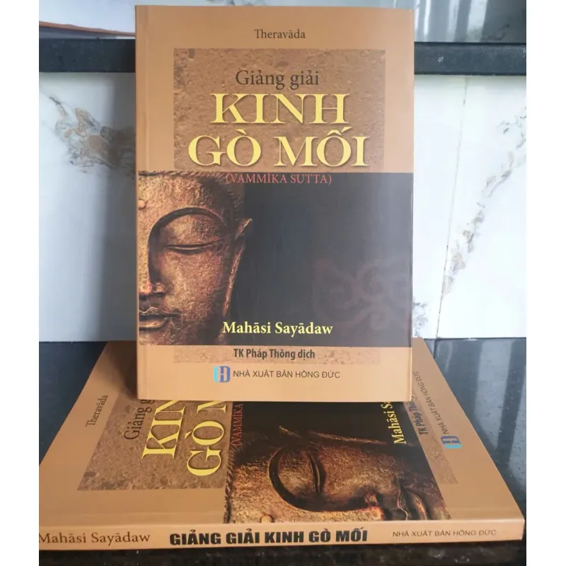 Sách Giảng giải Kinh Gò Mối của Mahási Sayādaw - Bản tiếng Việt 675207