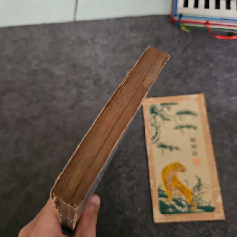 Thức cùng trang văn 11 nhà văn Huế đương đại 745886