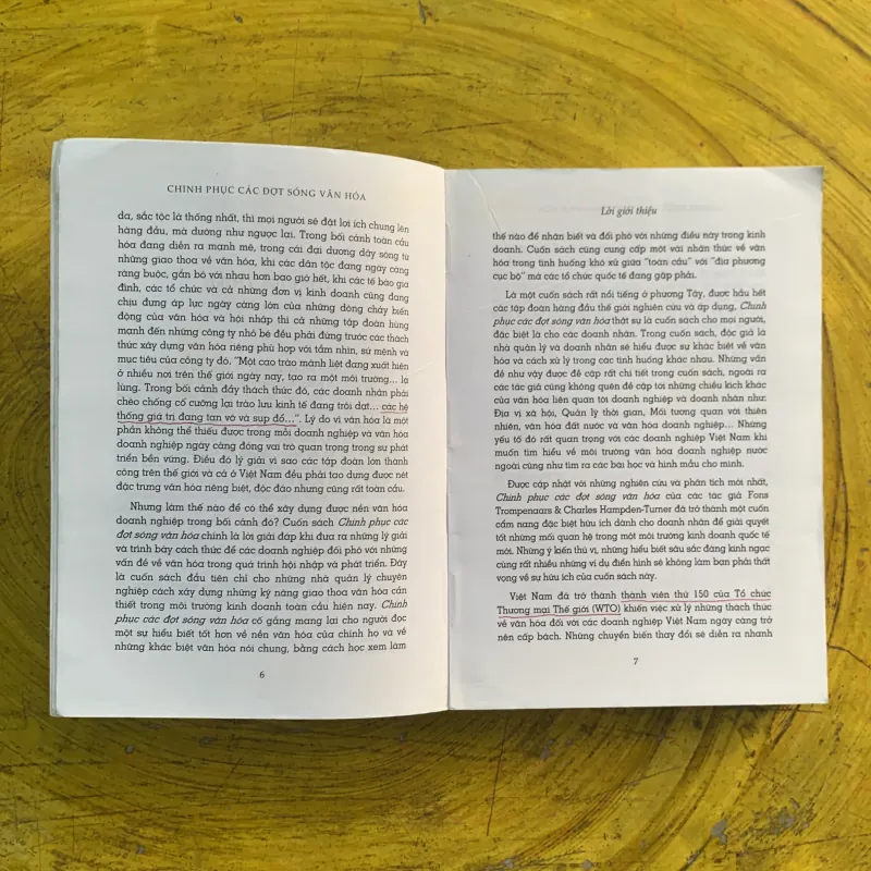  CHINH PHỤC CÁC ĐỢT SÓNG VĂN HOÁ - FON TROMPENAARS & CHARLES HAMPDEN-TURNER 991244