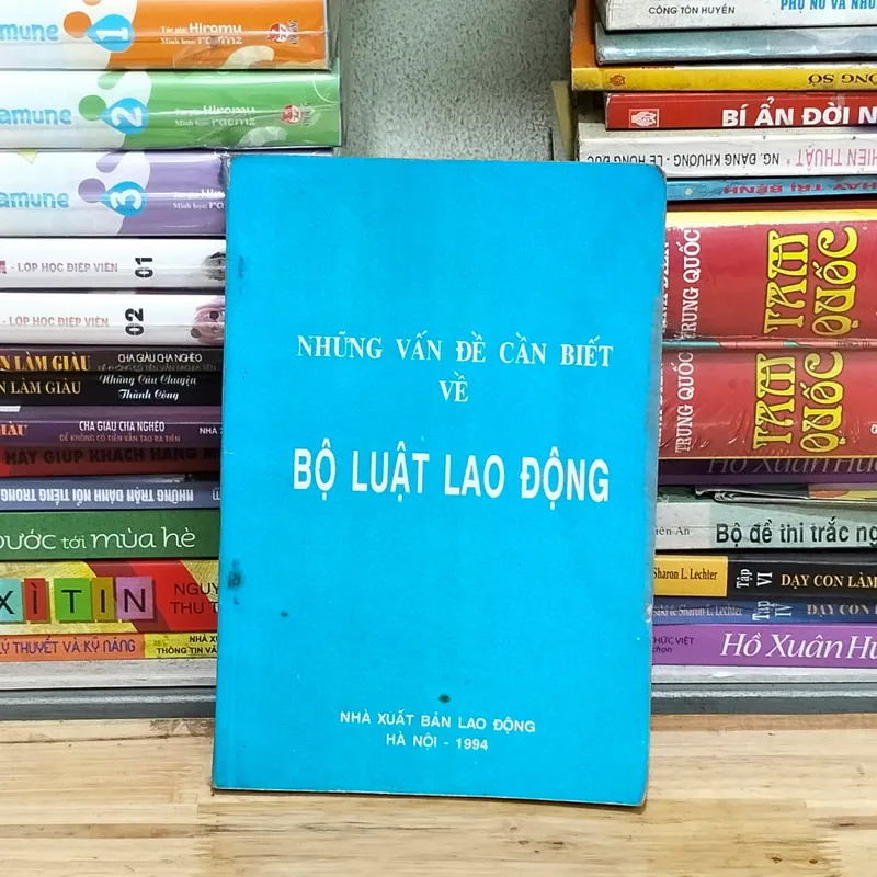 Những vấn đề cần biết về bộ luật lao động  575963