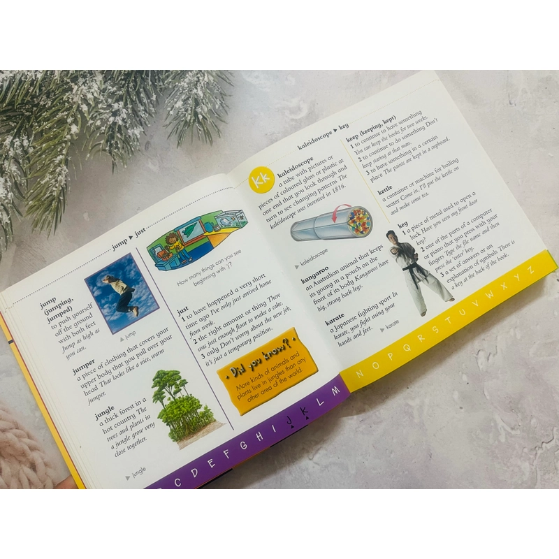 Junior Dictionary & Thesaurus 548434