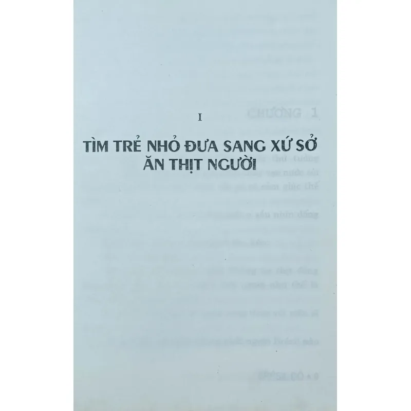 Brésil đỏ (Jean- Christophe Rufin) 144280