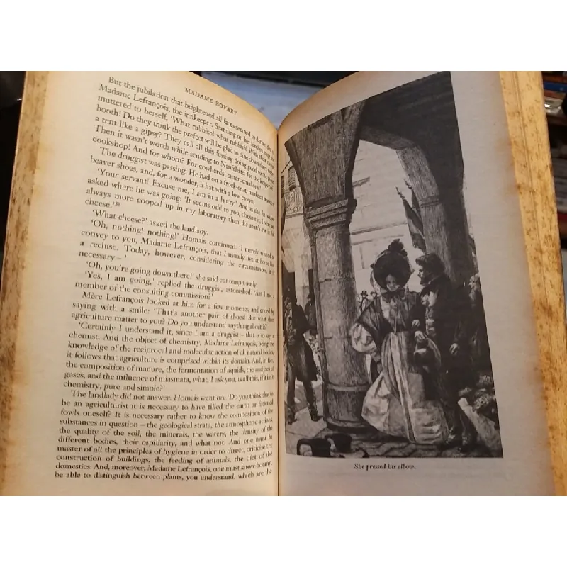 Madame Bovary - Gustave Flauberta 519132