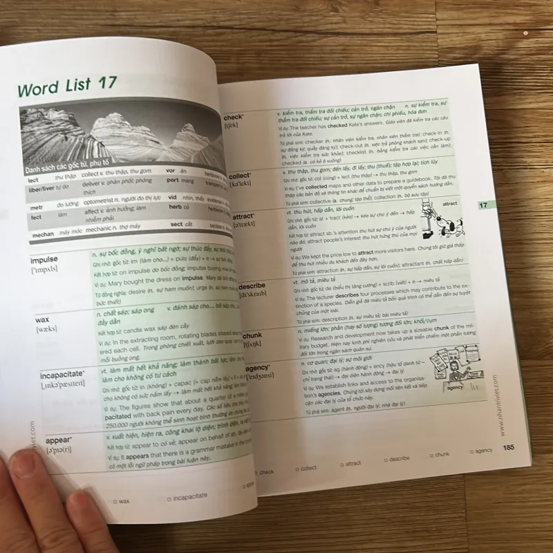 Enrich your Ielts Vocabulary 1024275