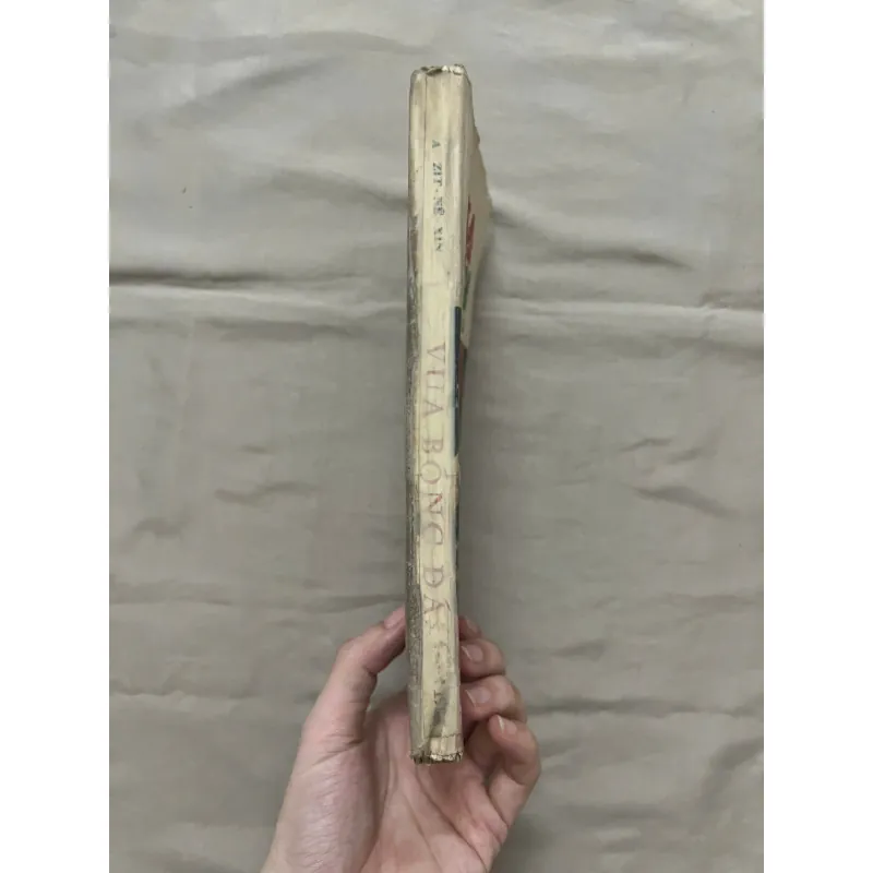 VUA BÓNG ĐÁ - A-zit Nê-xin 992771