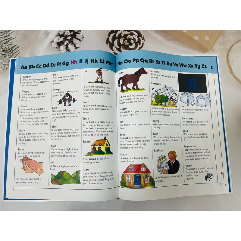 Young Learner’s First Dictionary 545228